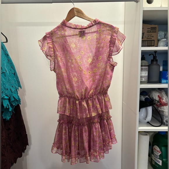 Misa Los Angeles Lilian Ruffled Chiffon Mini Dress - Picture 5 of 7